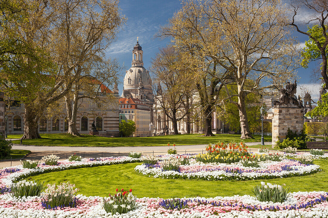Bruehlscher garden in the old town of Dresden with the Frauenkirche, Albertinum and blooming flowers in the foreground, Saxony, Germany