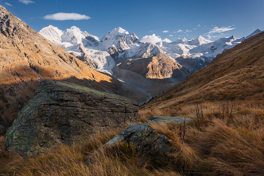 Evening sun on the peaks of Piz Bernina (4048 m), Piz Scerscen (3971 m) and Piz Roseg (3987 m) above the Roseg valley, Engadin, Switzerland