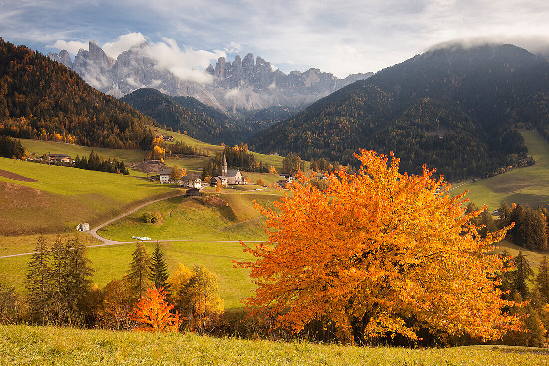 Blick über Villnöss Tal im Herbst mit der Kirche St. Magdalena und den Geislerspitzen, Alpen, Funes, Alto Adige, Dolomiten, Südtirol, Italien, Europa