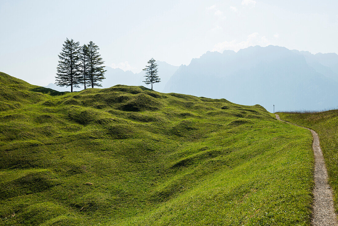 Meadows near Mittenwald, Upper Bavaria, Bavaria, Germany