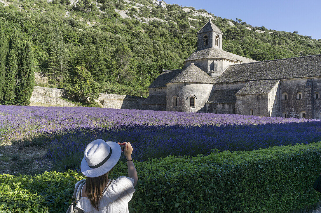 lavender field in front of the Abbaye de Senanque abbey, near Gordes, the Vaucluse, Provence-Alpes-Cote d’Azur, France