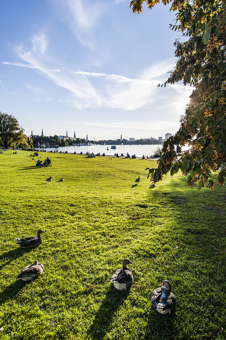 view to the Outer Alster and the skyline of Hamburg, Hamburg, north Germany, Germany