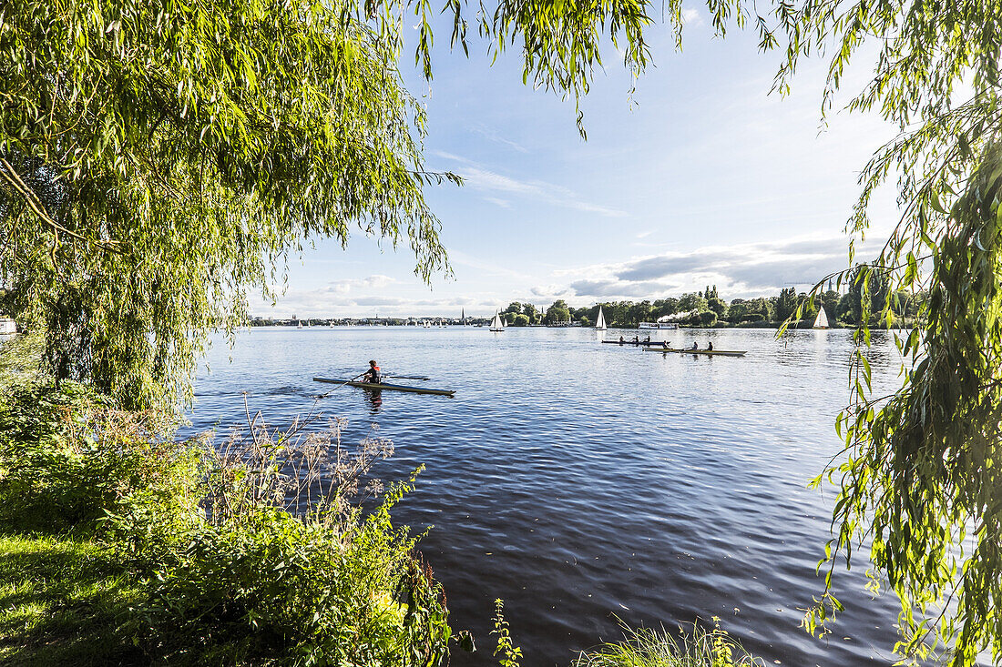 scullers and boats on the Outer Alster, Hamburg, north Germany, Germany