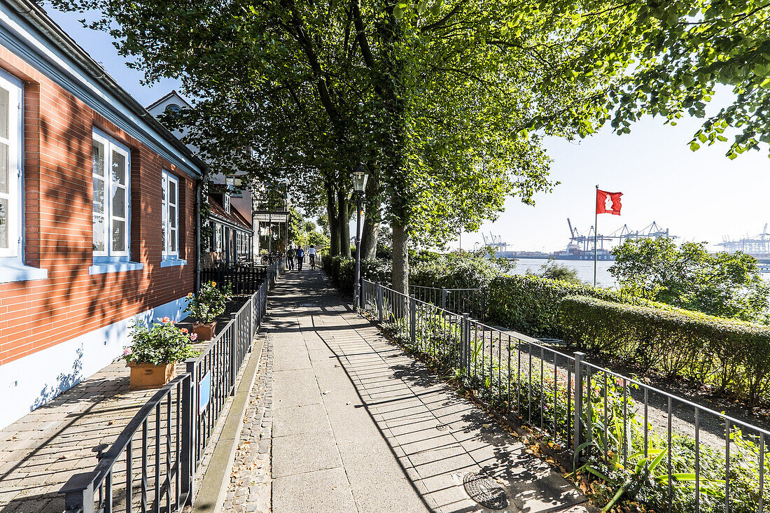 fisherhouses along the Elbe near Oevelgoenne, Hamburg, north Germany, Germany