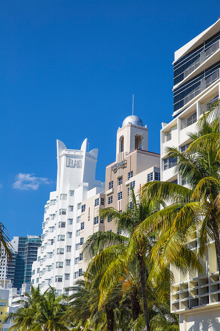 Delano Hotel, Collins Avenue, South Beach, Miami Beach, Miami, Florida, United States of America, North America