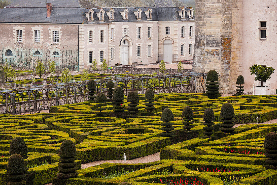 Symmetrically beautiful gardens at the chateau of Villandry, UNESCO World Heritage Site, Loire Valley, Indre et Loire, Centre, France, Europe