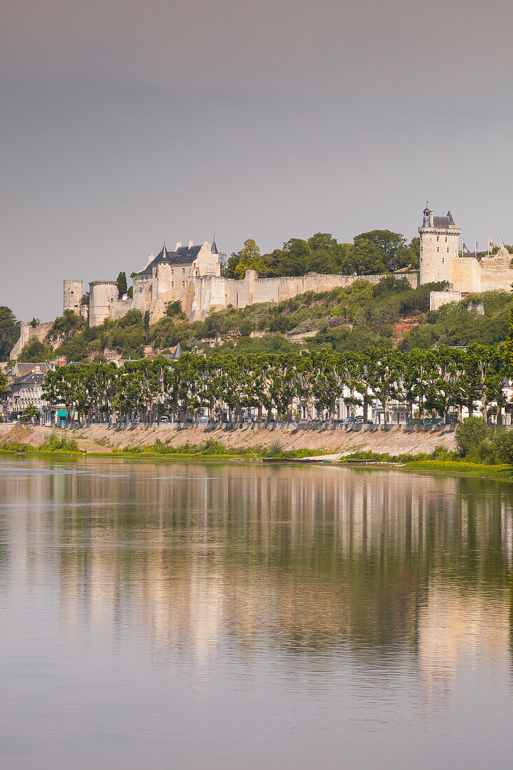 Looking down the River Vienne towards the town and castle of Chinon, Indre et Loire, France, Europe