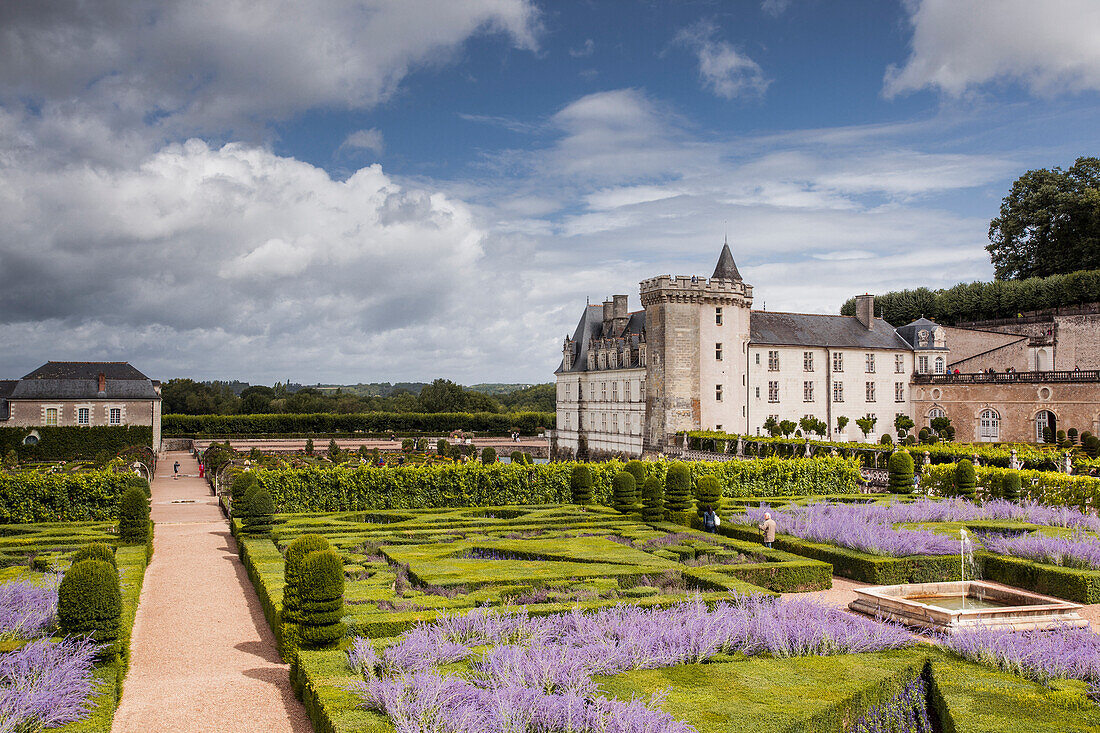 The beautiful castle and gardens at Villandry, UNESCO World Heritage Site, Indre et Loire, Centre, France, Europe