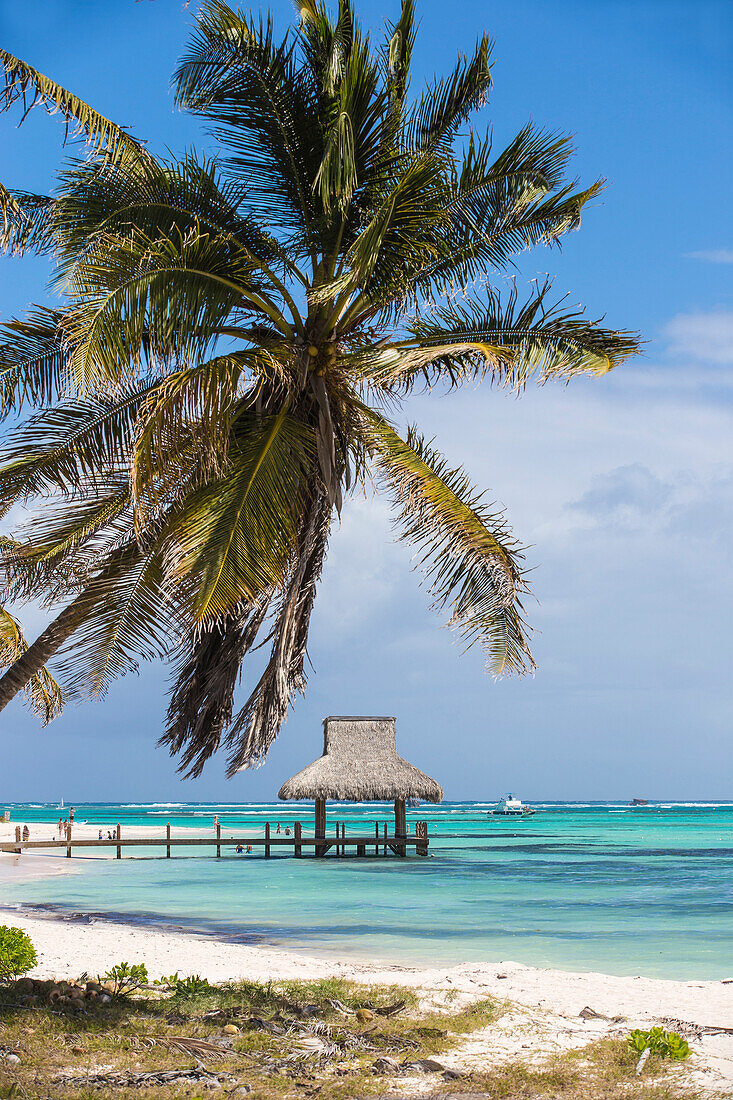 Wooden pier with thatched hut, Playa Blanca, Punta Cana, Dominican Republic, West Indies, Caribbean, Central America