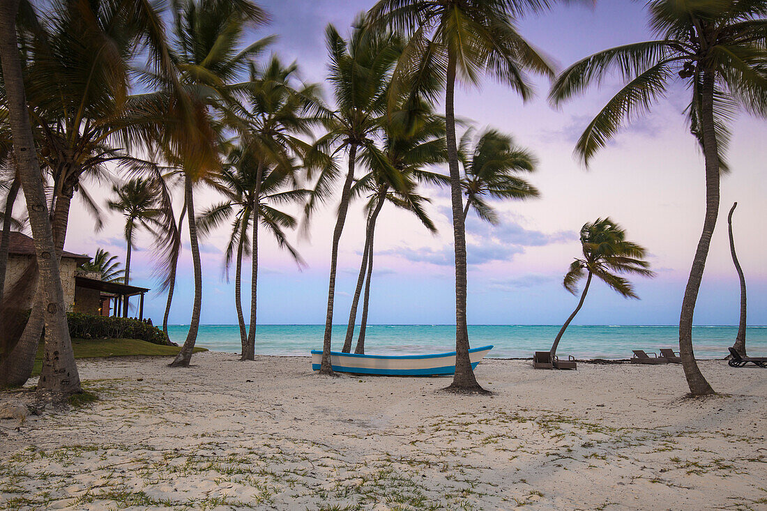 Cap Cana Beach, Punta Cana, Dominican … – License image – 71073210 ...