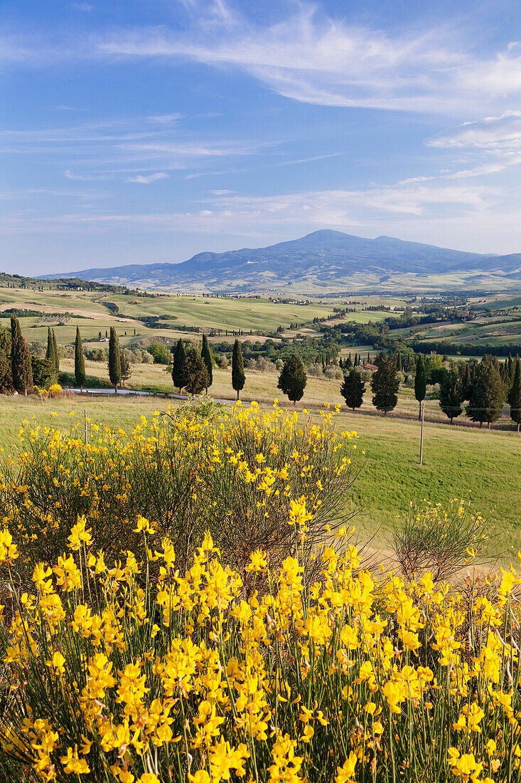 Tuscan landscape  with Monte Amiata, near Pienza, Val d'Orcia Orcia Valley, UNESCO World Heritage Site, Siena Province, Tuscany, Italy, Europe