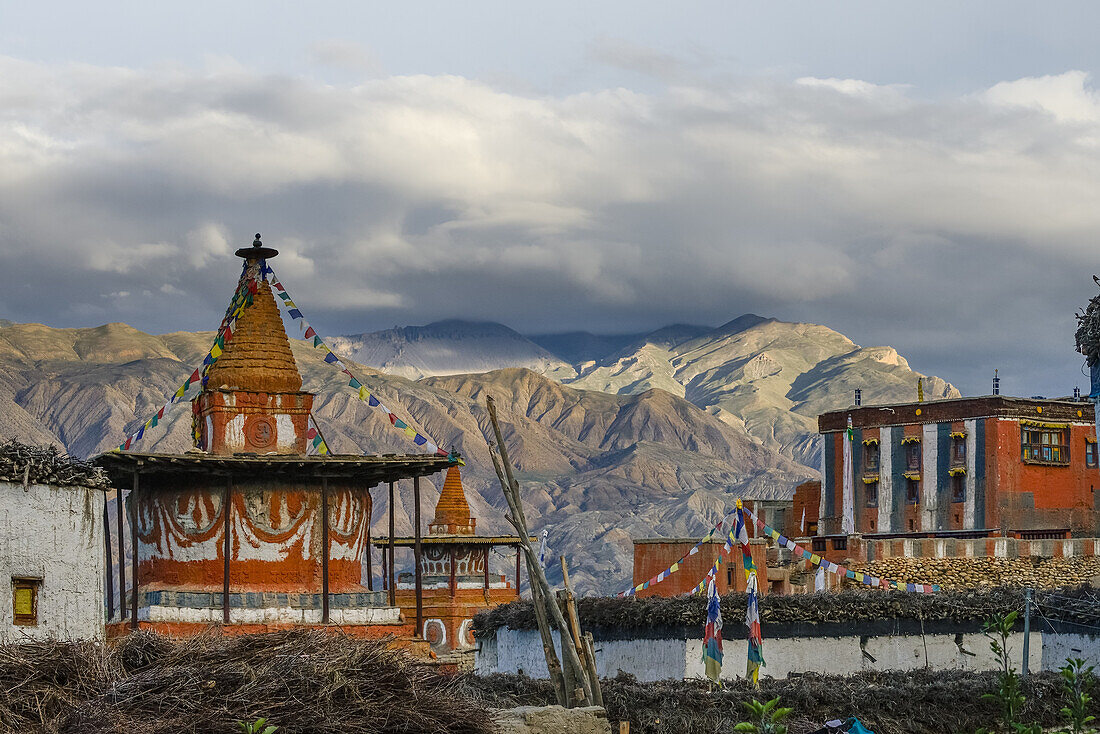 Tibetisches Kloster, Gompa, Stupas und Choerten in Tsarang, Charang, tibetische Ortschaft mit buddhistischem Kloster am Kali Gandaki Tal, dem tiefsten Tal der Welt, fruchtbare Felder gibt es in der Hochwueste nur durch ein ausgekluegeltes Bewaesserungssys