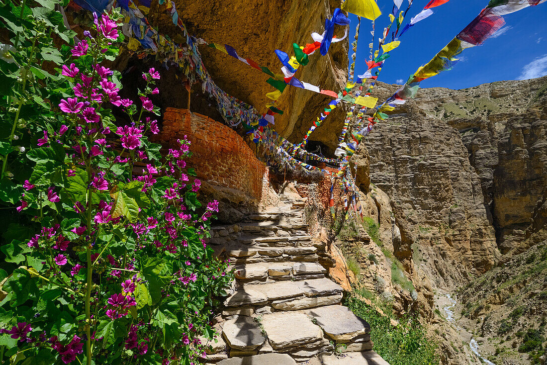 Ranchung Cave, buddhistisches Felsenkloster mit Gebetsfahnen, nahe Samar, Koenigreich Mustang, Nepal, Himalaya, Asien
