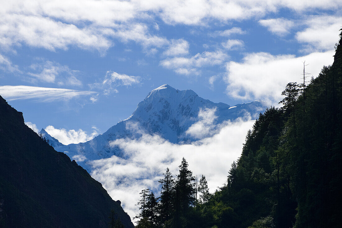 Der Manaslu (8163 m), der achthoechste Berg der Welt, Blick von Koto am Annapurna Circuit Trek, Nepal, Himalaya, Asien