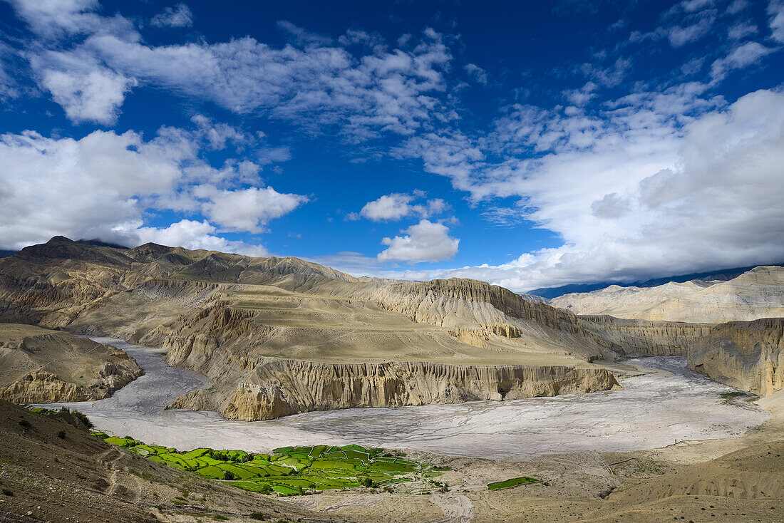 Tangge, tibetian village with a buddhist Gompa in the Kali Gandaki valley, the deepest valley in the world, fertile fields are only possible in the high desert due to a elaborate irrigation system, Mustang, Nepal, Himalaya, Asia