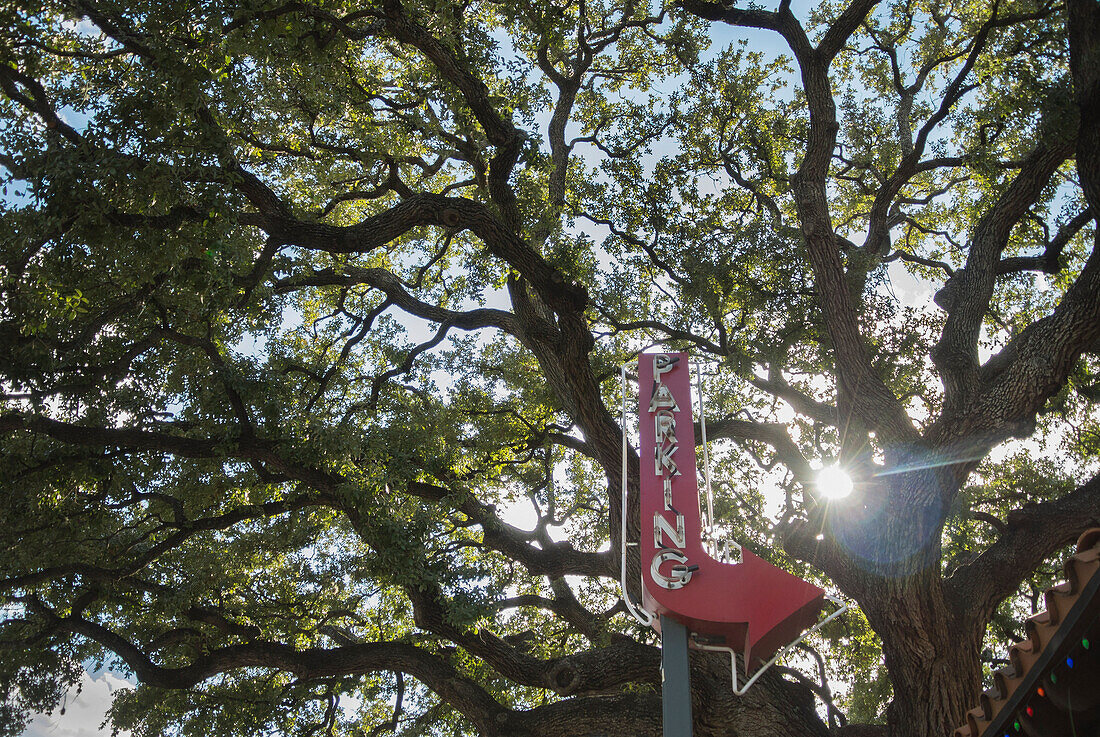 An old tree looms over a vintage, red parking sign next to a parking lot, Austin, Texas, United States of America