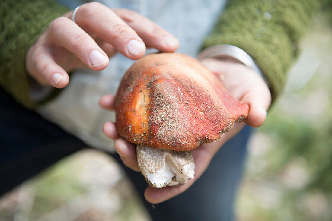 Close up of woman examining mushroom in forest