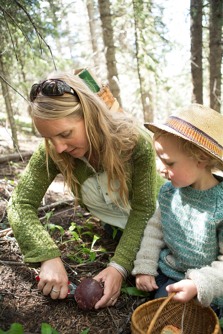 Mother and son foraging for mushrooms in forest