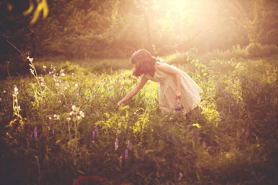 Girl picking flowers in rural field