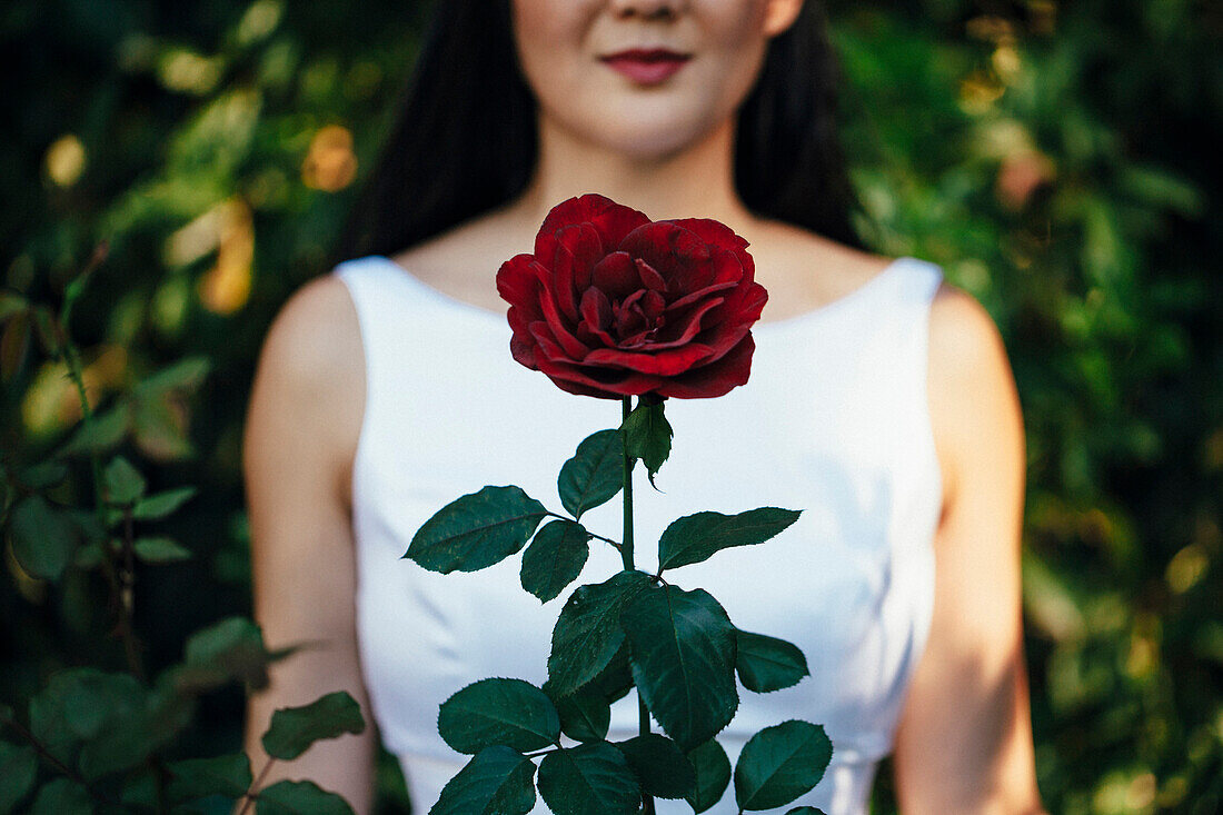 Korean bride smiling behind red rose
