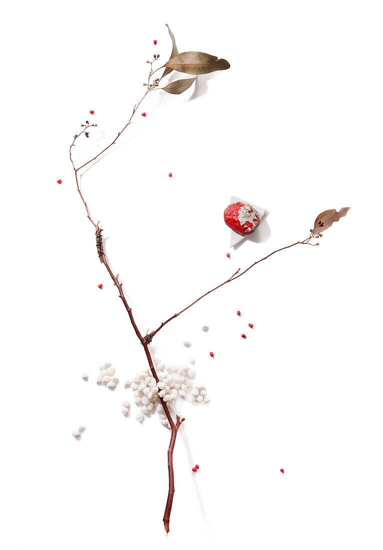 Dried branch with berry and leaves