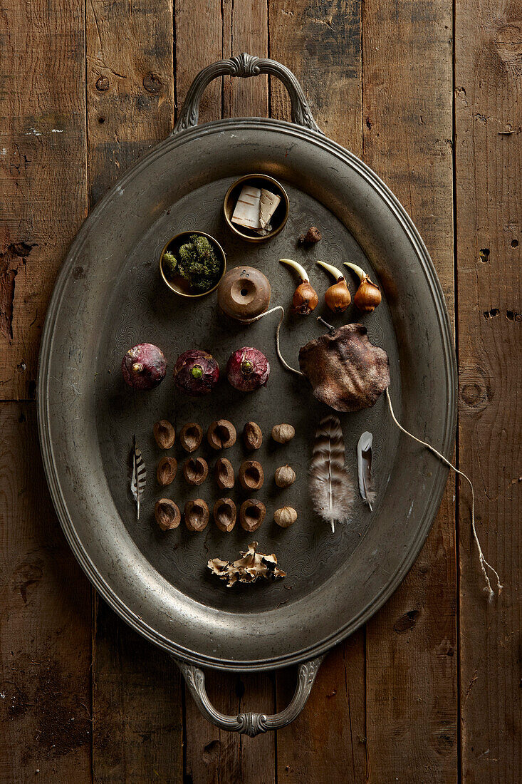 Platter of dried fruit, wood, plants and string