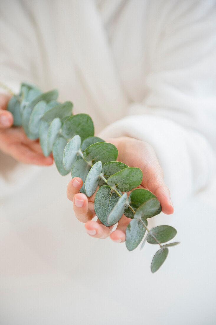 Mixed race woman holding eucalyptus stem and leaves