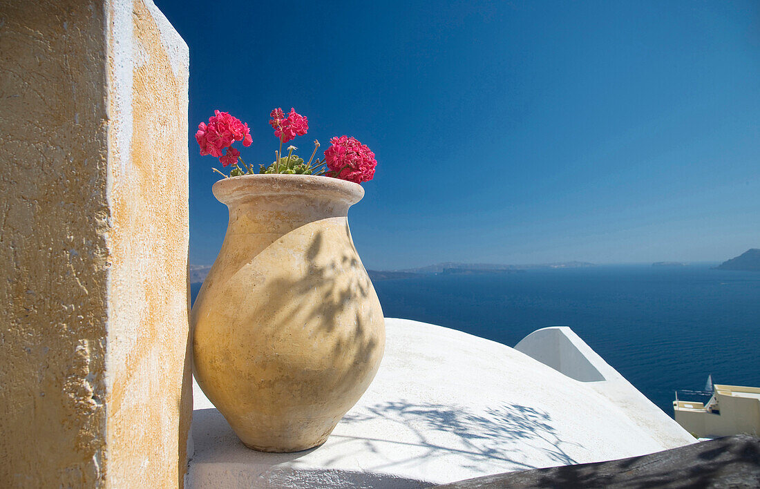 Flower pot on balcony overlooking seascape