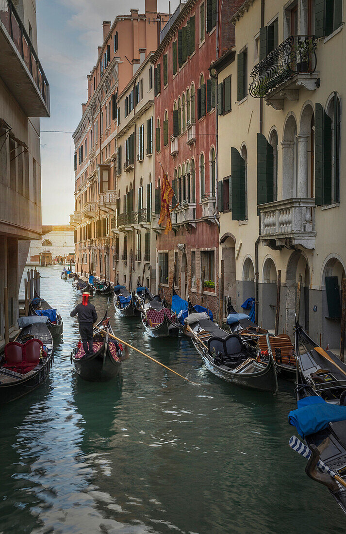 Gondoliers sailing on Venice canal, Veneto, Italy