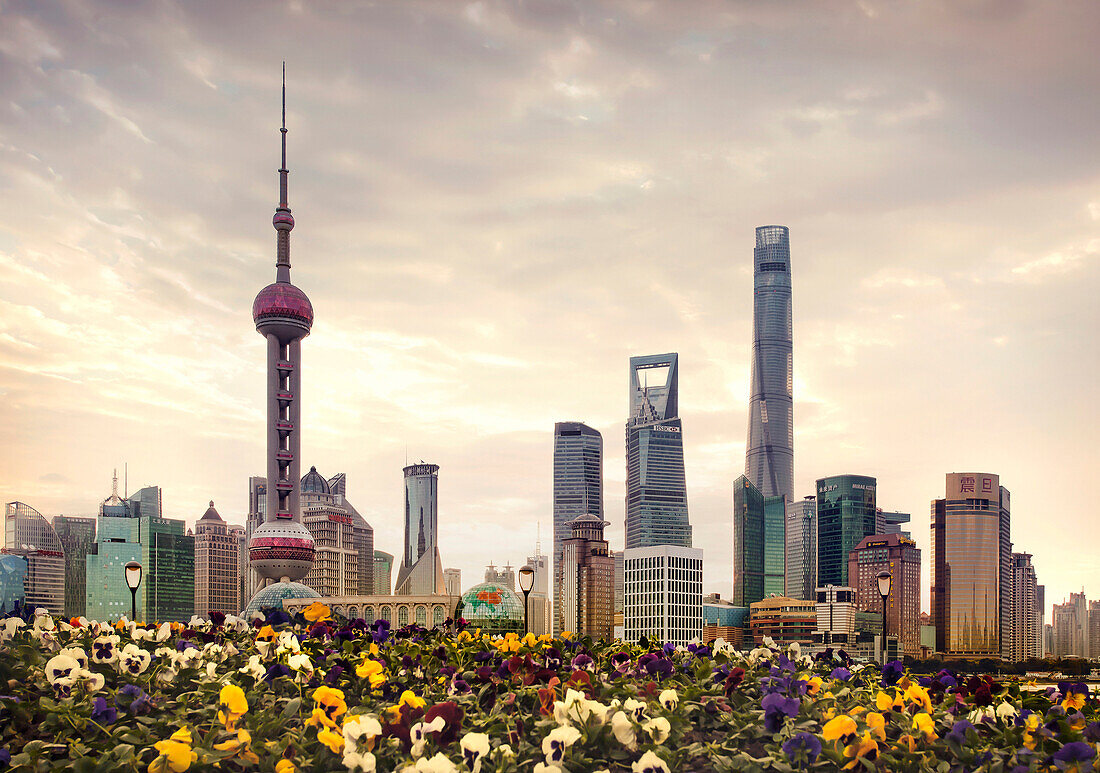 Shanghai city skyline over field of flowers, Shanghai, China