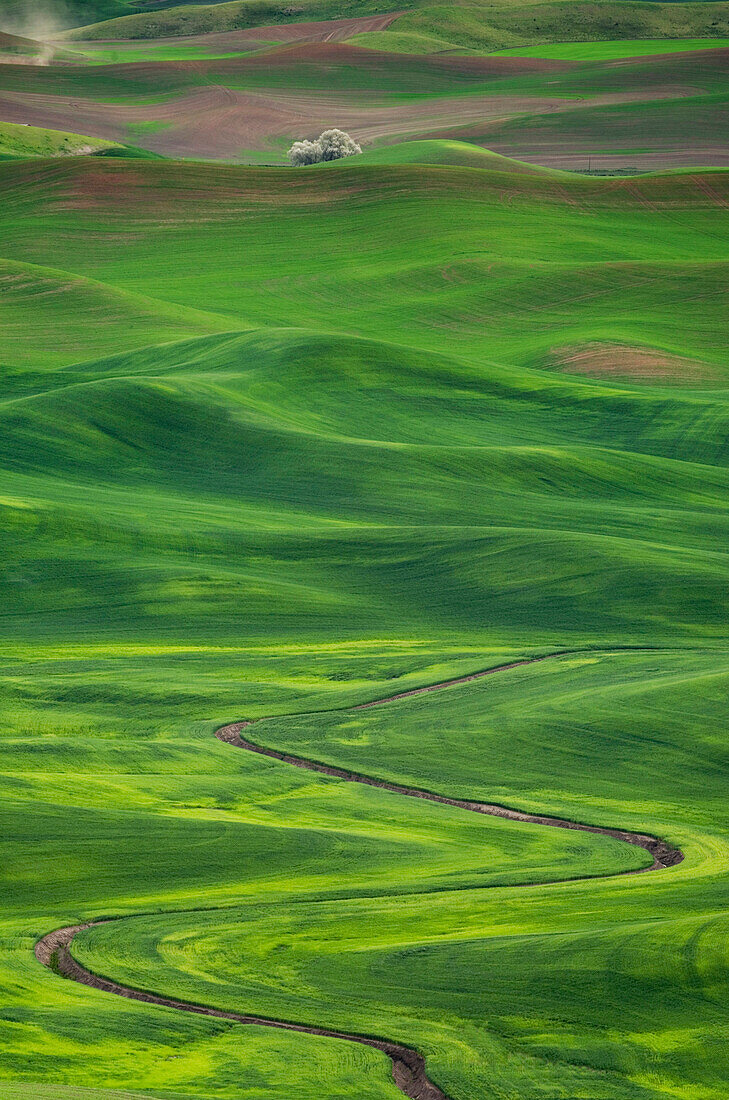 Winding irrigation ditch through rolling hills in rural landscape