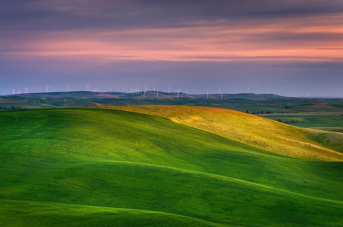 Rolling green hills in rural landscape