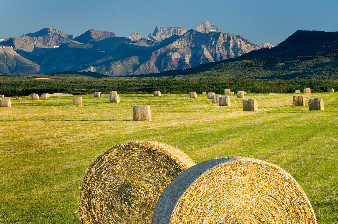 Hay bales in farm field in rural landscape