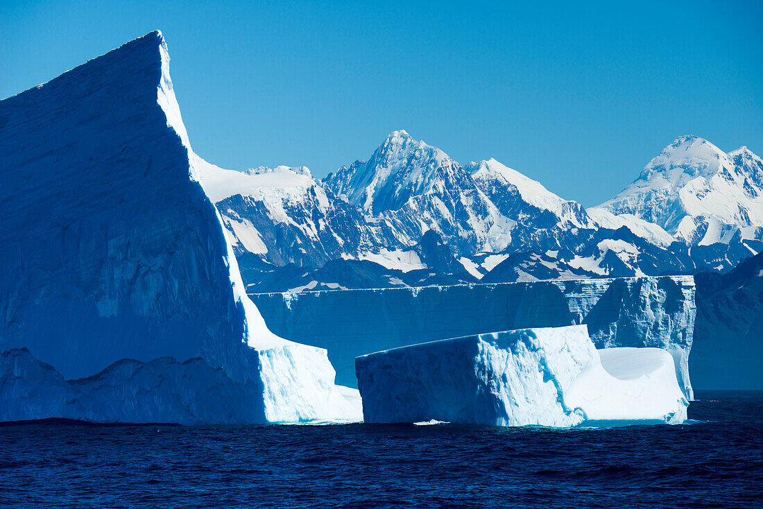 Majestaetische Eisberge und schneebedeckte Berge, nahe Gold Harbour, Suedgeorgien, Antarktis