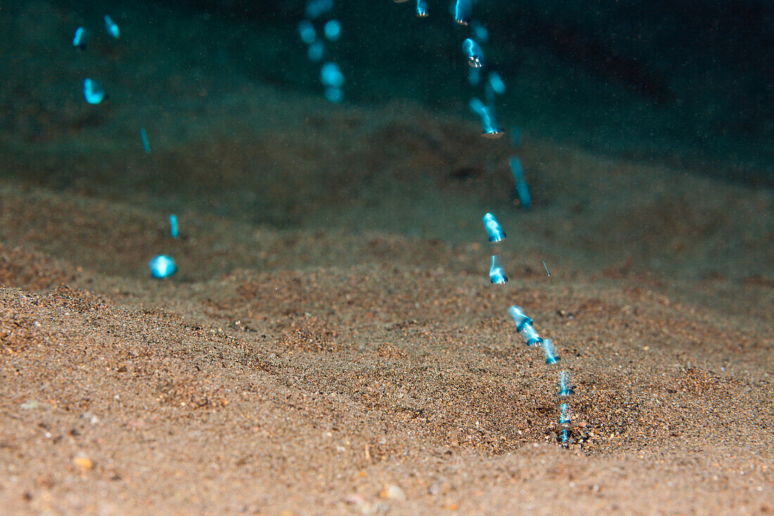 Vulkanische Gasblasen, Komodo Nationalpark, Indonesien