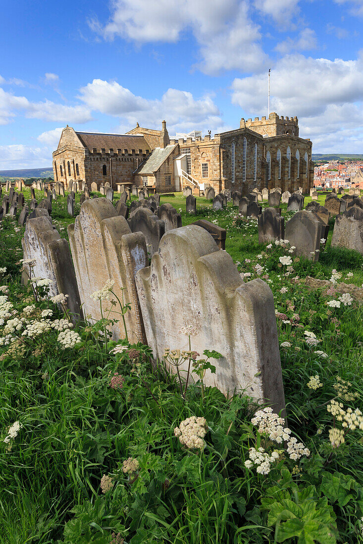St. Mary's Church, gravestones in churchyard surrounded by cow parsely flowers in spring, Whitby, North Yorkshire, England, United Kingdom, Europe