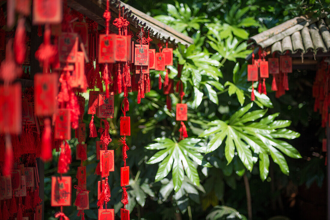 Red wooden Buddhist good luck charms and tropical vegetation, Hangzhou, Zhejiang, China, Asia