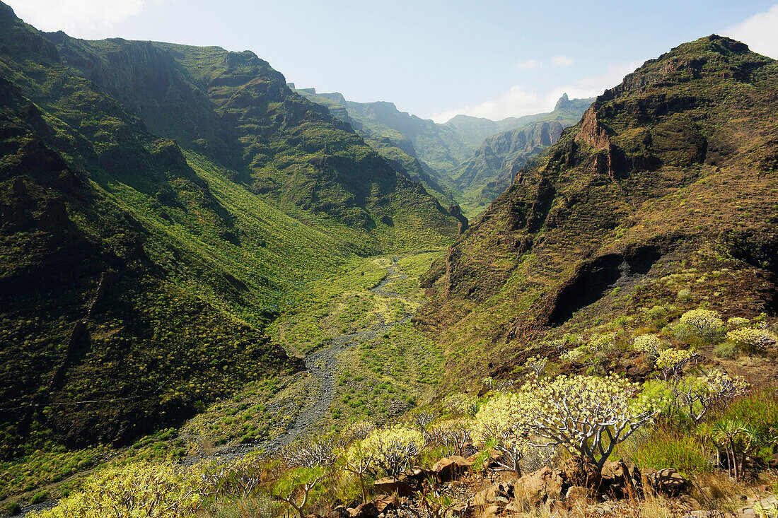 Barranco de Santiago, La Gomera, Canary Islands, Spain, Europe