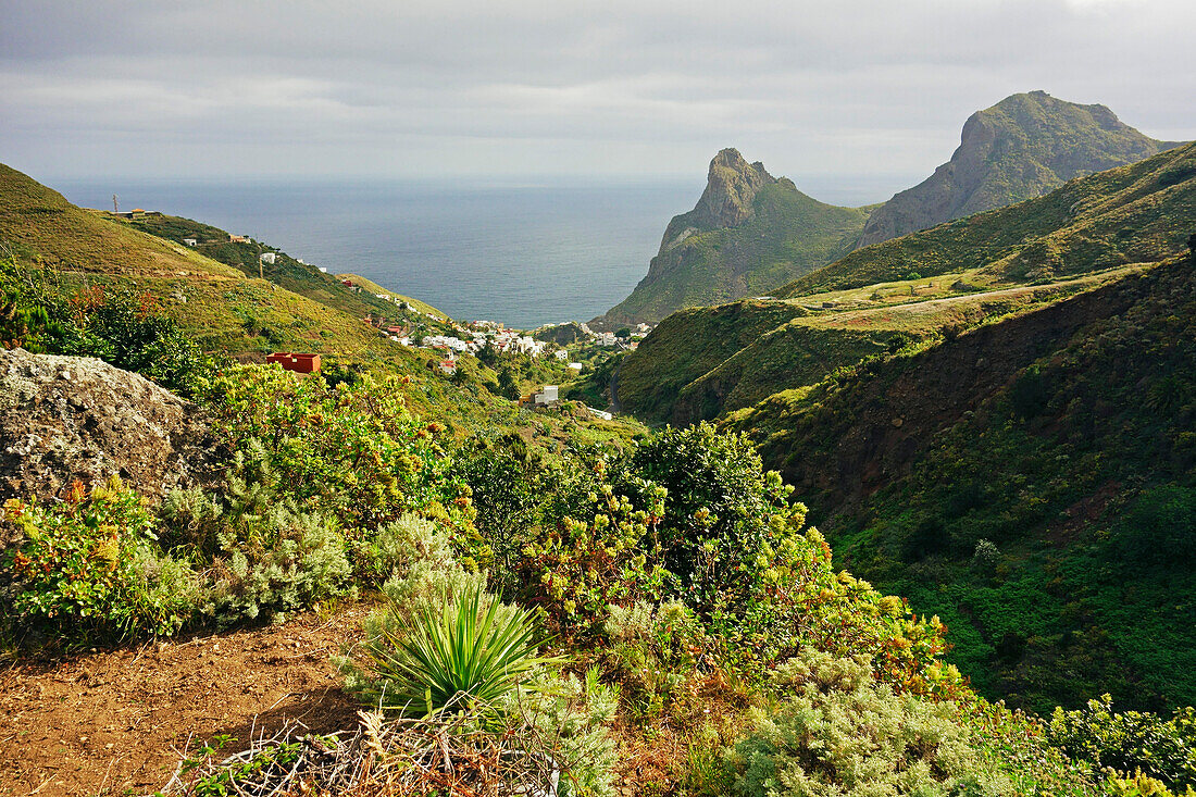 Taganana village, Anaga Mountains, Tenerife, Canary Islands, Spain, Atlantic, Europe