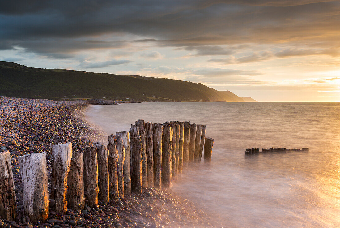 Weathered wooden posts on Bossington Beach, Exmoor National Park, Somerset, England, United Kingdom, Europe