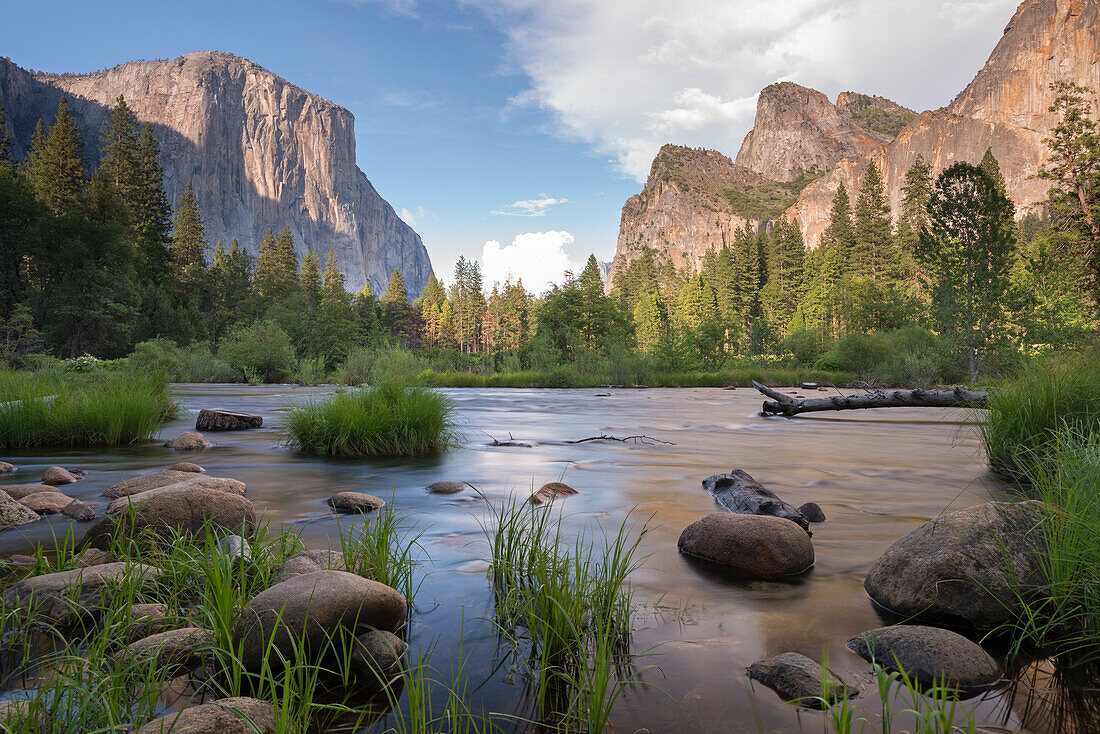 Merced River and El Capitan in Yosemite Valley, UNESCO World Heritage Site, California, United States of America, North America