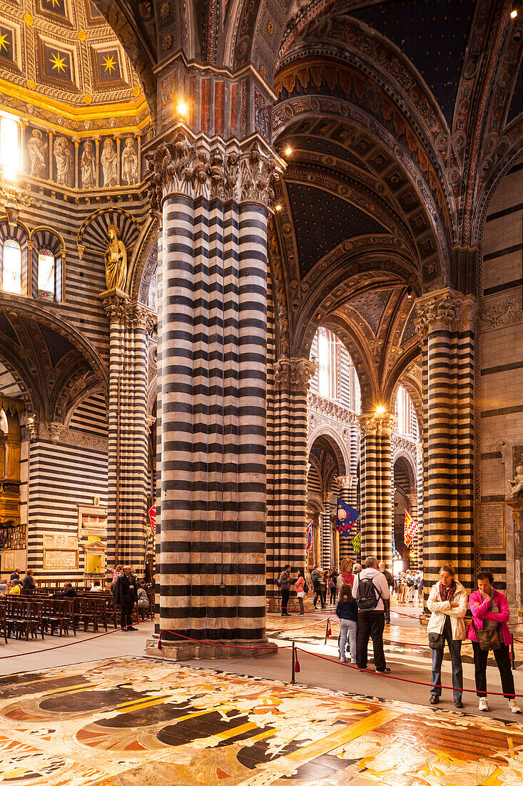 Interior of Duomo di Siena Siena Cathedral, dating from the mid-14th century, Siena, Tuscany, Italy, Europe