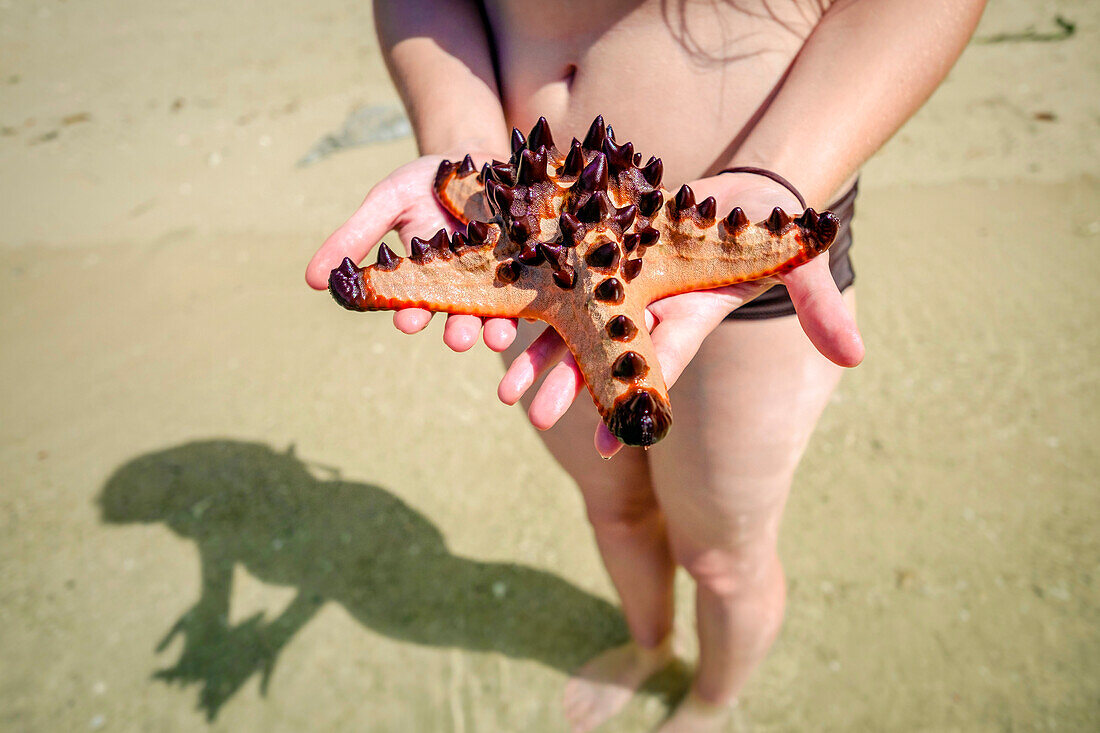 Woman holding a Horned Sea Star (Protoreaster nodosus) on Calachuchi Beach