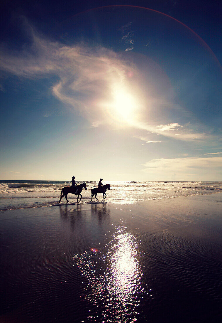 people riding horses near the sea
