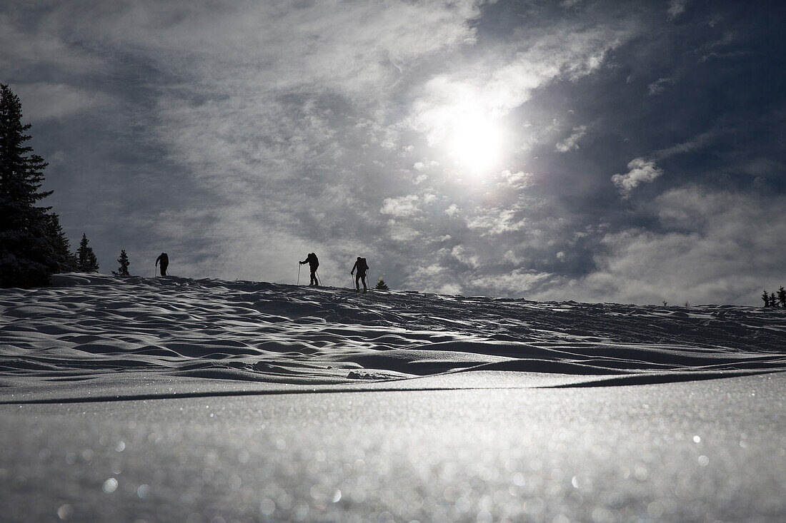 Winter scenery in the Austrian alps