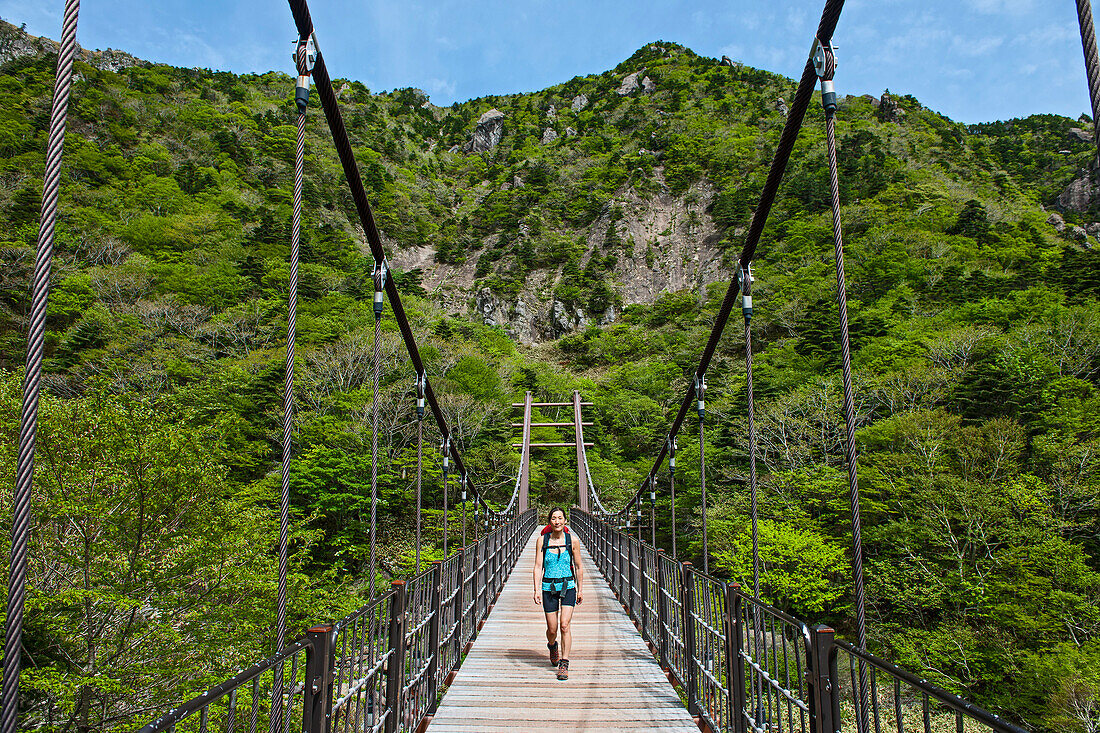 on the Gwaneumsa hiking trail to Hallasan on Jeju Island