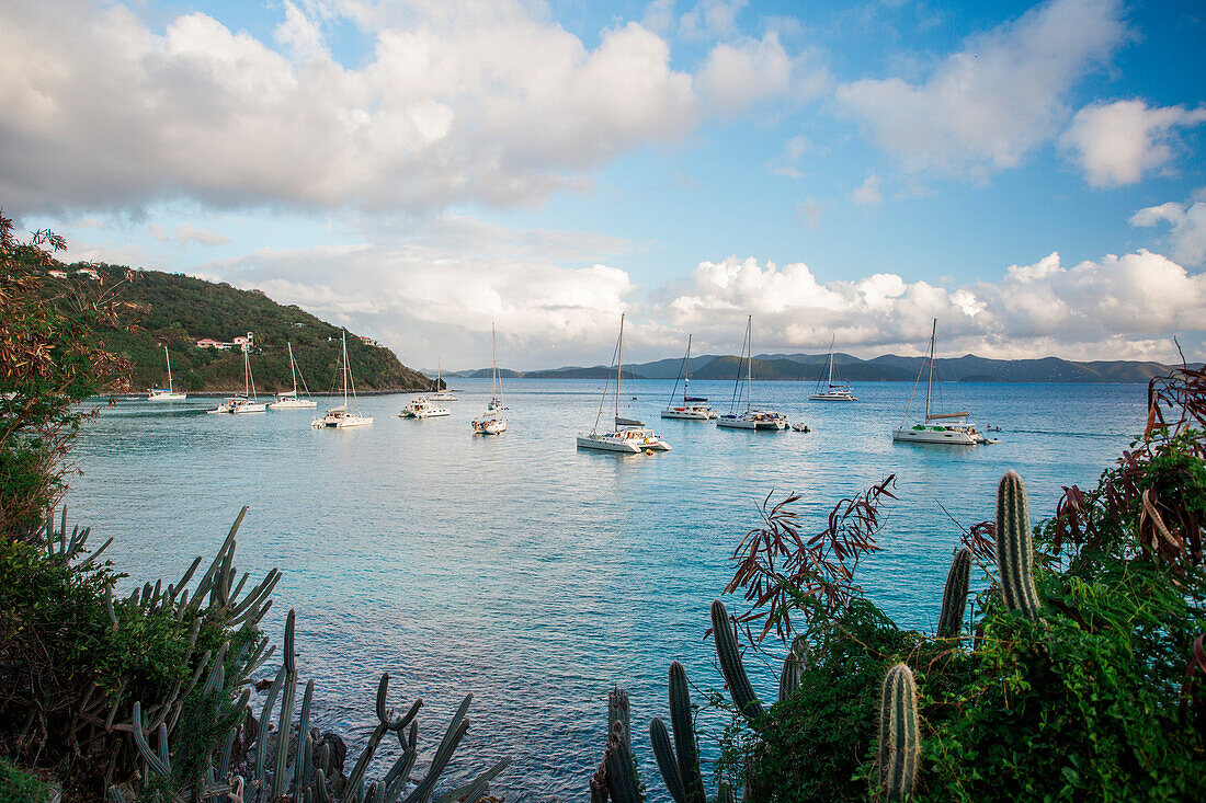 Sailboats anchored in a quiet cove of the Caribbean islands.