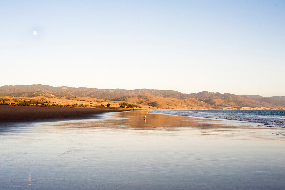 Low tide in northern California reflects the illuminated foothills of Point Reyes on Limantour beach.