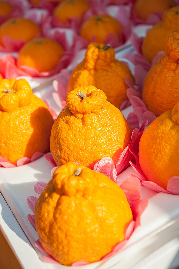 Oranges on a market in Jeju Si on Jeju Island