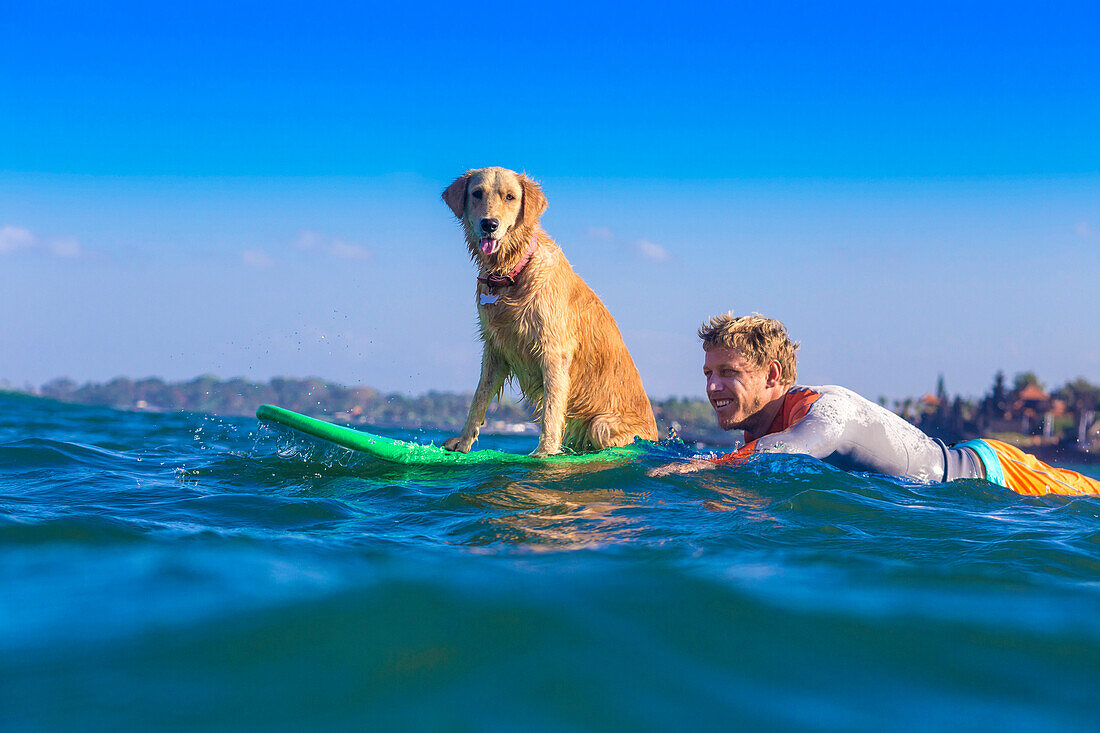 Surfer with a dog on the surfboard.